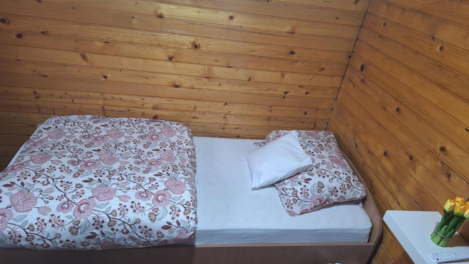 Wooden House Ada Villa Belgrade Exterior photo